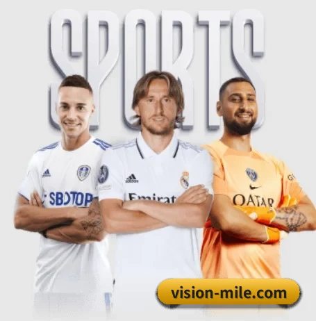 vision-mile.com APP